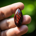 Load image into Gallery viewer, Falcons Eye - Weight Loss!
